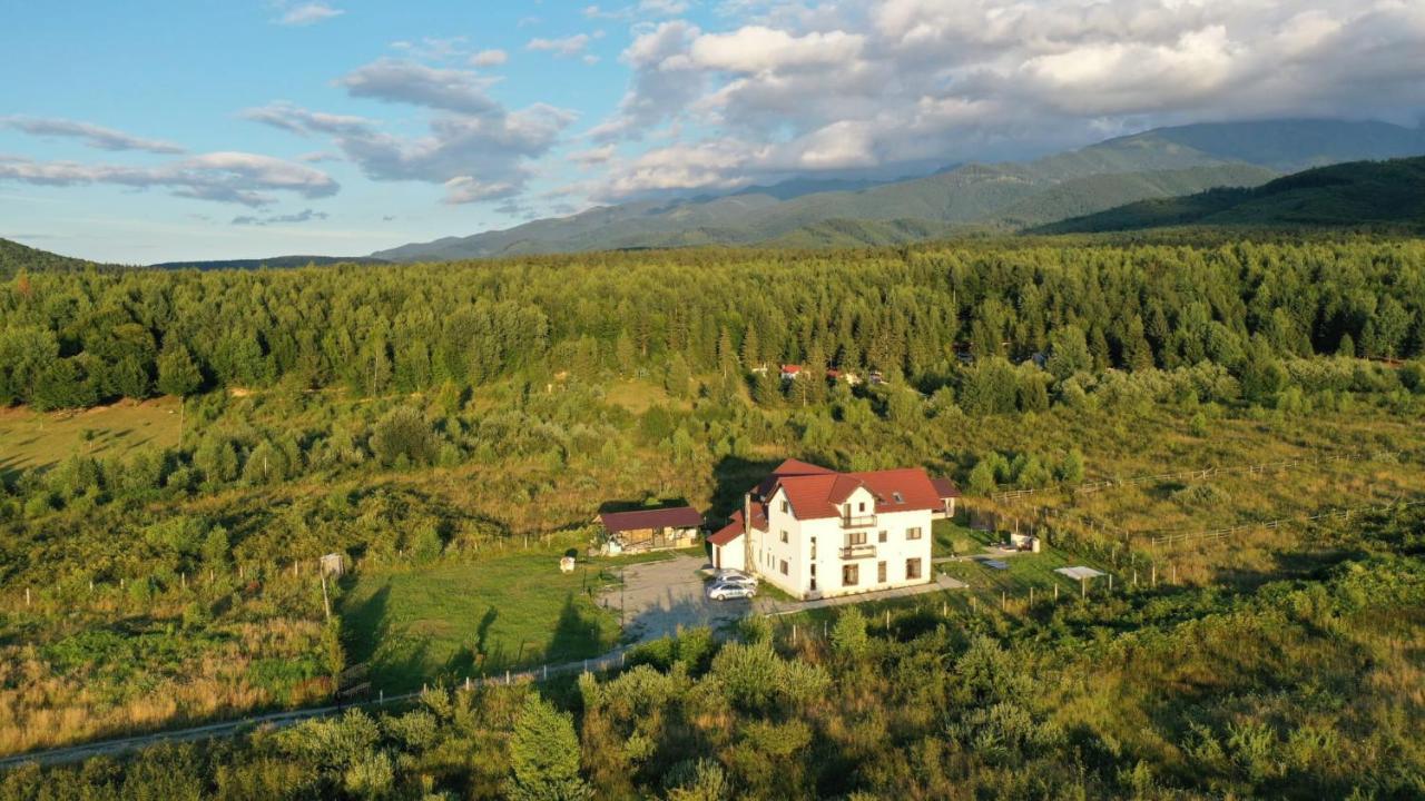Pensiunea Ivoire Felek Kültér fotó