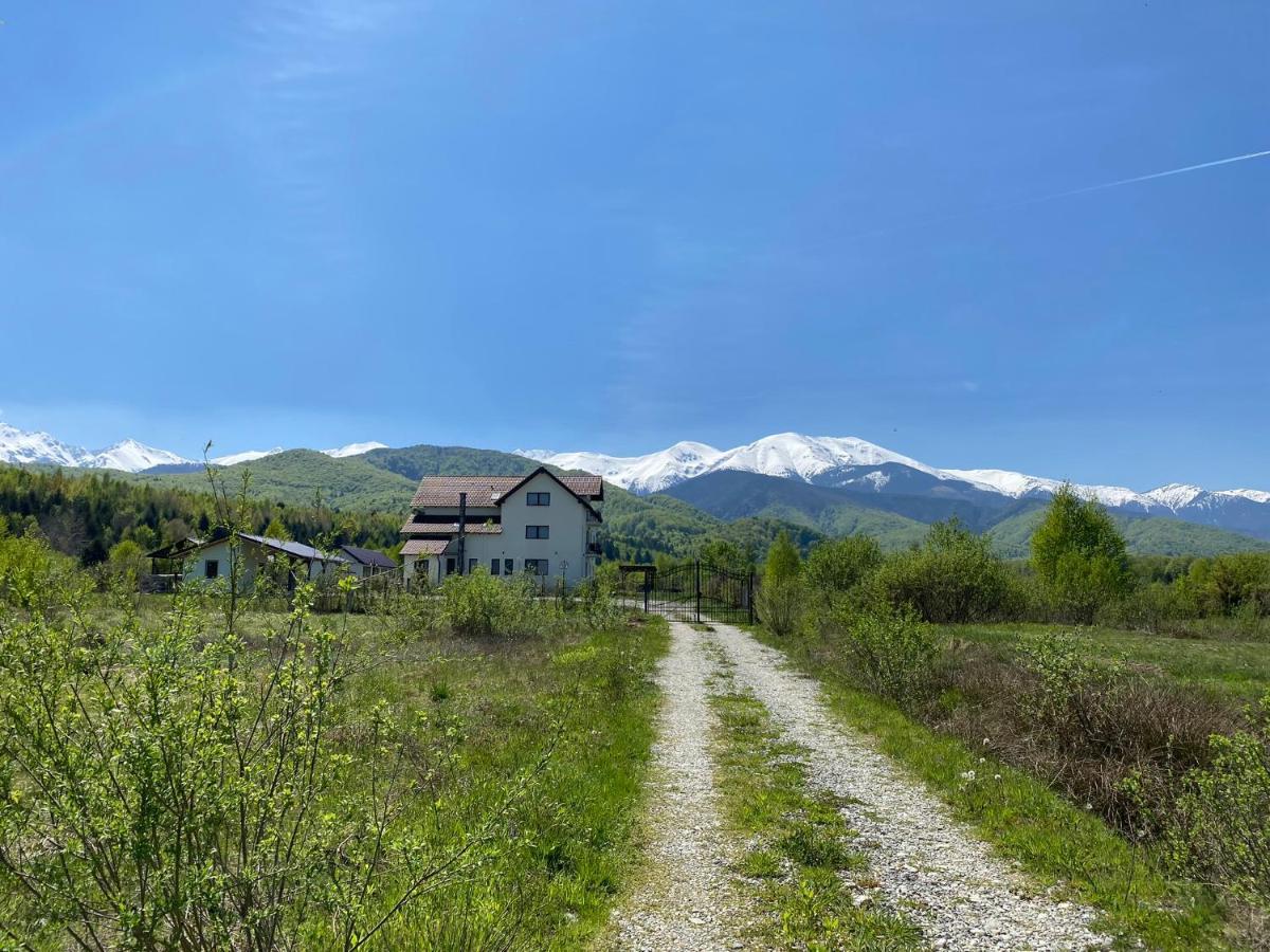 Pensiunea Ivoire Felek Kültér fotó